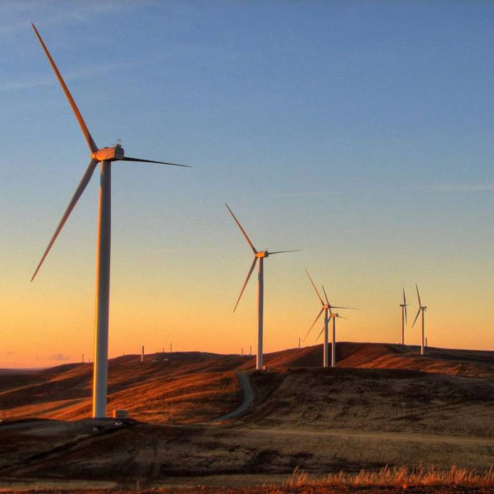 بسته زرشک ممتاز سرمد