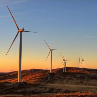 بسته زرشک ممتاز سرمد